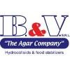 B & V Logo