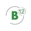 B12 Consulting Logo