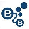 B2B 2000 Logo