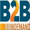 B2B InDemand Logo