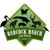 Babcock Ranch Eco-Tours Logo
