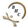 Back To Health Chiropractic Logo