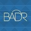 Badr IT Logo
