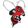 Baldwinsville Central School District Logo