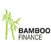Bamboo Finance Logo