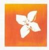 Banco BPI Logo