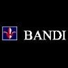 Bandi Informatics Logo