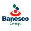 Banesco Internacional Logo