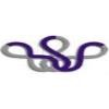 Bangalore Software Services Logo
