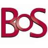 Bank of Springfield Logo