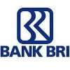 Bank Rakyat Logo