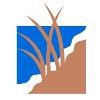 BankNewport Logo
