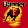 Banner Logo