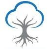 Banyan Medical Systems Logo