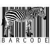 BARCODE italia Logo