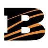 Barnstable Academy Logo