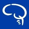 Barrow Neurological Institute Logo