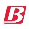 Bass Security Logo