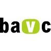 Bay Area Video Coalition Logo
