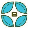Bayleaf Software Logo