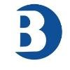 Bayview Technologies Inc Logo