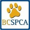 BC SPCA Logo