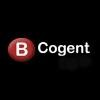 Bcogent Solutions Logo