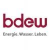 BDEW Logo