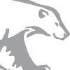 BEAR Scotland Logo