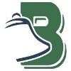 Bell Socialization Services Logo