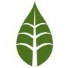 BEM SYSTEMS Logo