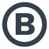 Ben Kinney Companies Logo