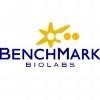 Benchmark Biolabs Logo