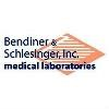 Bendiner & Schlesinger Logo