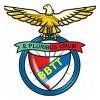 Benfica BBTT Logo
