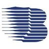 Berkshire Systems Group Logo