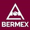Bermex Logo