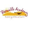 Bernalillo Academy Logo