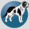 Bernard Health Logo