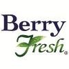 Berry Fresh Logo