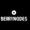 BerryNodes Logo