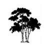 Besse Forest Products Logo