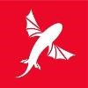 Best Kiteboarding Logo