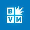 Best Version Media Logo