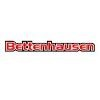 Bettenhausen Automotive, Logo
