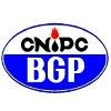 BGP International Logo