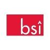 BI Search International Logo
