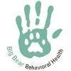 Big Bear Behavioral Health Logo
