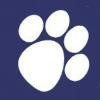 Big Dog TV & Internet Logo
