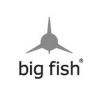 Big Fish Design Logo